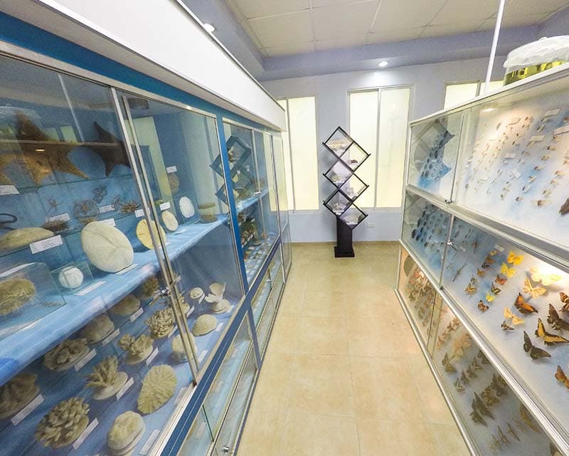 Museo de Ciencias Naturales del Instituto Politécnico Loyola