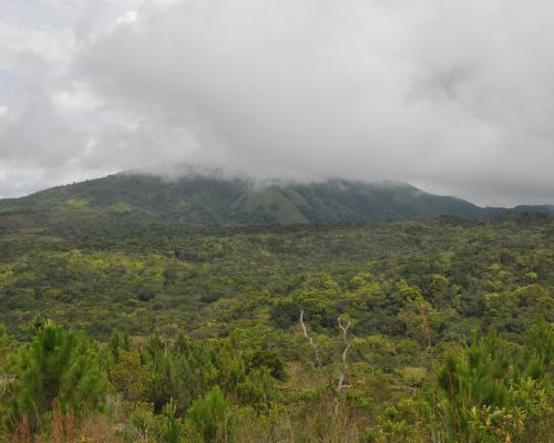 El Centro de Sostenibilidad Socioambiental Loyola respalda el blindaje jurídico de la Montaña La Humeadora y la protección de todas las áreas protegidas del país